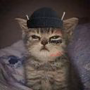 Vivalett_meoww