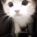 qqwiriooos
