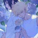 user06447542