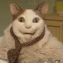 Iodskoofokewf