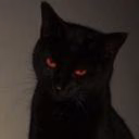 catlboro