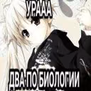 hyisoshelp