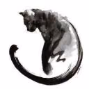 Cat-DogViktoria