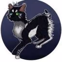 MichelleAfton237