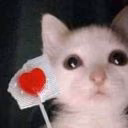 kisellb