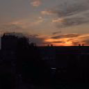_polima_