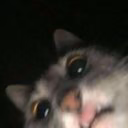 EvilKit