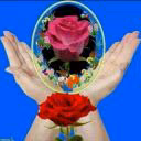 alemfan