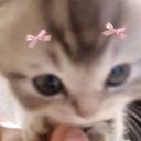 qwqulixxqwq