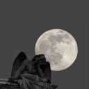 _sixiwepp_
