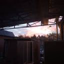 ziro_3