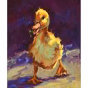Duck009t