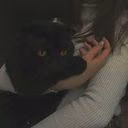 soso_01892378