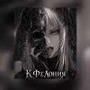 K_felony_author_