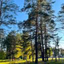 gidralitika