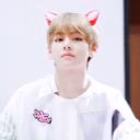 angelok_cat