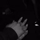 narcissus_86