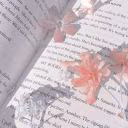 Studio_Sakura