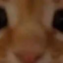 XD13579_000