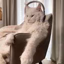 BunnyBax1