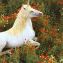 striped_unicorn