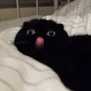 sofiya108