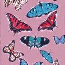 linacutie123