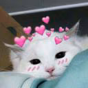 king_gay