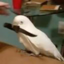 Loud_Whisper_