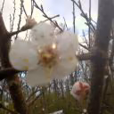 Krisa_Markova27