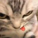 _yoursunf1ower_