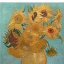 Ava_sunflowers