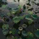 MaoYao3