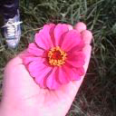 violetta5555000