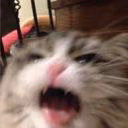 luruvuni