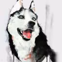 Zabfvthfh