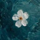 Andzelika07
