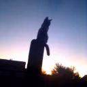 FaNaTKa_FeNiKsA