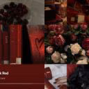 user84148266
