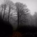Alica_M