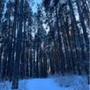 KatKrug