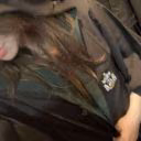 kristi_kkkkkk