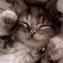 littleFarida