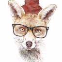 Tomas_Fox