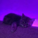 _LmmortalCheburek52_