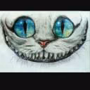 user27736247