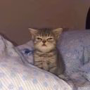 user71023715
