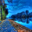 vikama__________