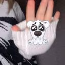 user40101494