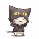 user71490240